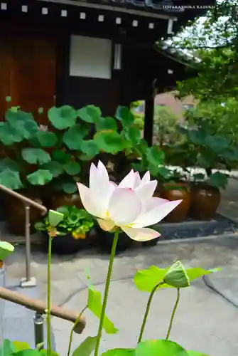 泥牛庵(神奈川県)