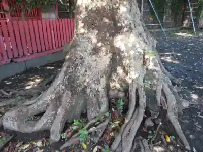 正一位稲荷大明神(築山稲荷社)の自然