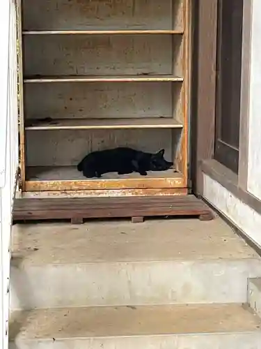 大宮住吉神社(埼玉県)