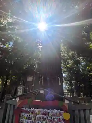 諏訪大社下社秋宮(長野県)