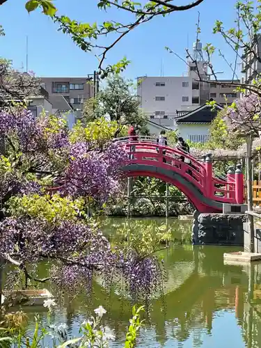 亀戸天神社(東京都)