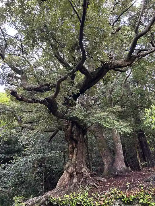 住吉神社(兵庫県)