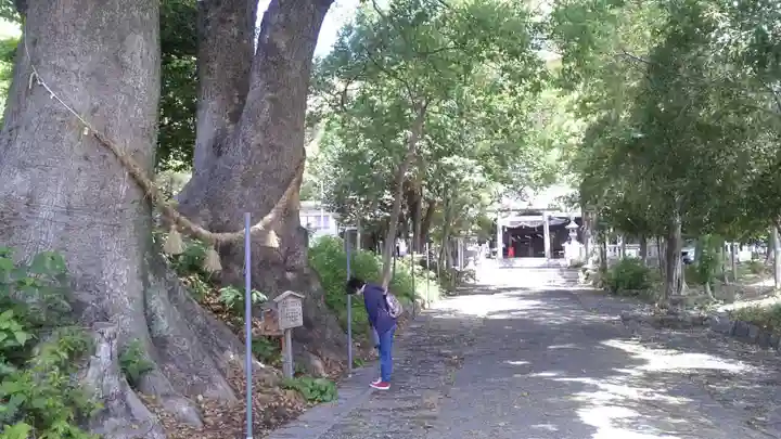 細江神社(静岡県)