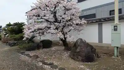 常泰寺(京都府)