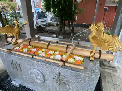 富岡八幡宮(東京都)