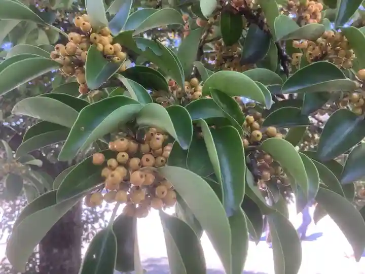 田縣神社(愛知県)