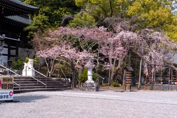 近江神宮(滋賀県)