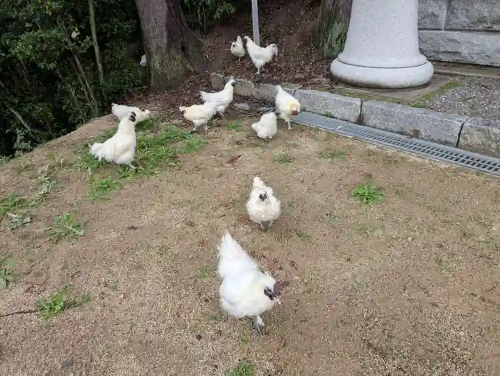高屋敷稲荷神社(福島県)