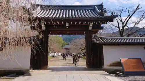 醍醐寺の山門