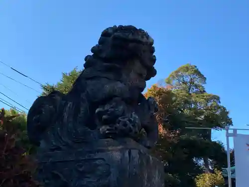 高円寺天祖神社(東京都)