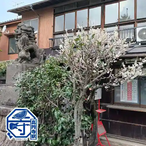 高円寺天祖神社(東京都)