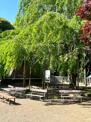 常陸第三宮 吉田神社(茨城県)