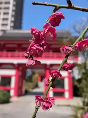 成子天神社(東京都)