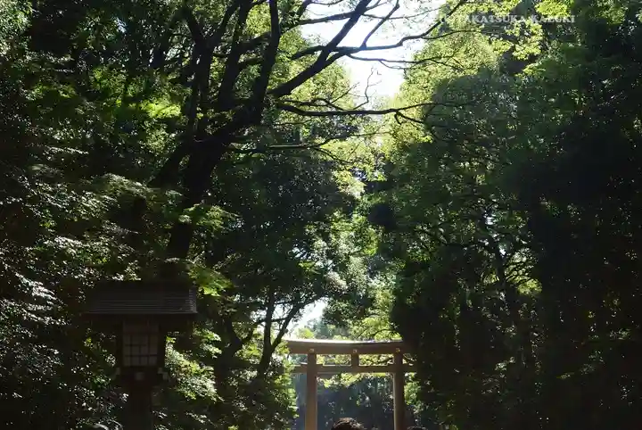 明治神宮(東京都)