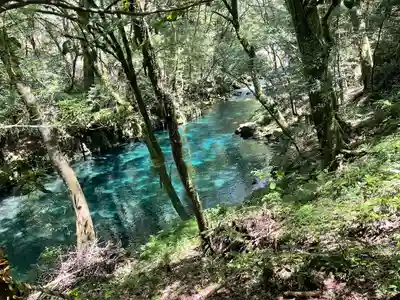 新四国八十八ヶ所巡り地蔵(熊本県)