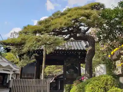 宝泉寺の山門・神門