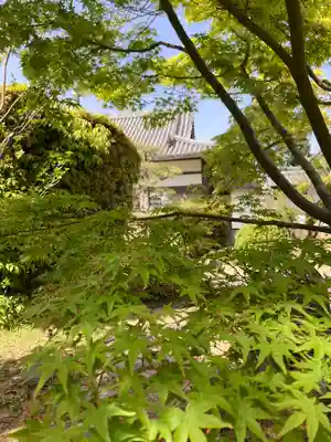 横蔵寺(兵庫県)