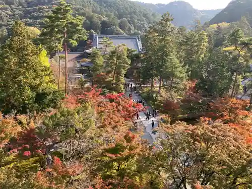 南禅寺の景色