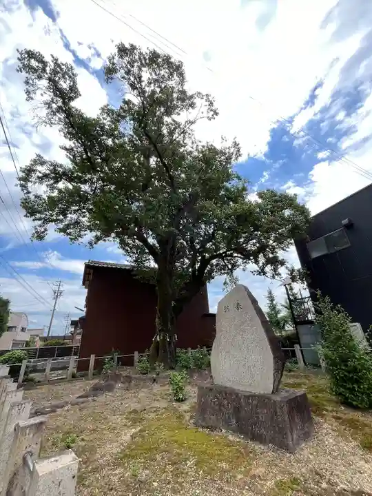 手力雄神社(岐阜県)