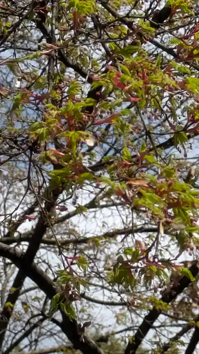 水無瀬神宮(大阪府)