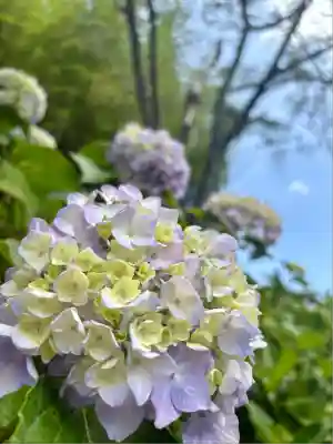 極楽寺(静岡県)