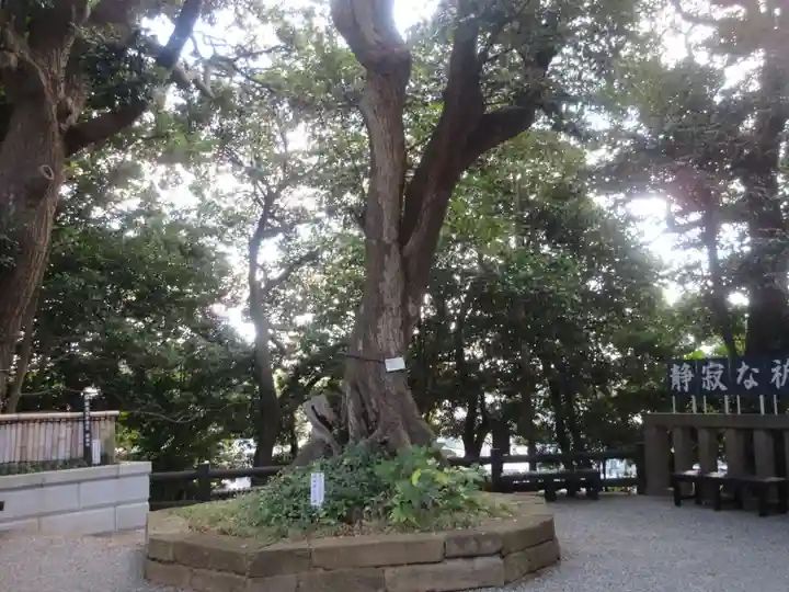 青木神社(神奈川県)
