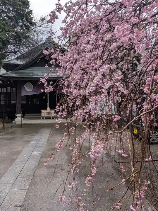 猿田彦神社(東京都)