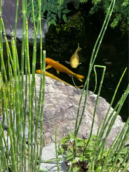 時宗総本山 遊行寺(正式:清浄光寺)(神奈川県)