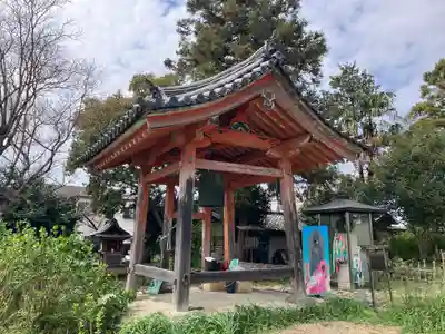 般若寺 ❁﻿コスモス寺❁(奈良県)