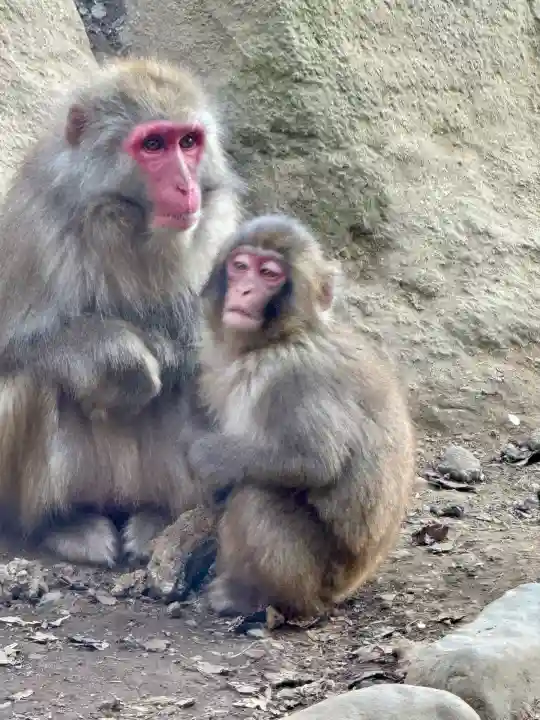 高尾山薬王院(東京都)