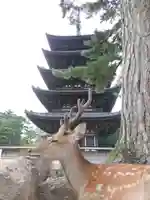 興福寺 東金堂の動物