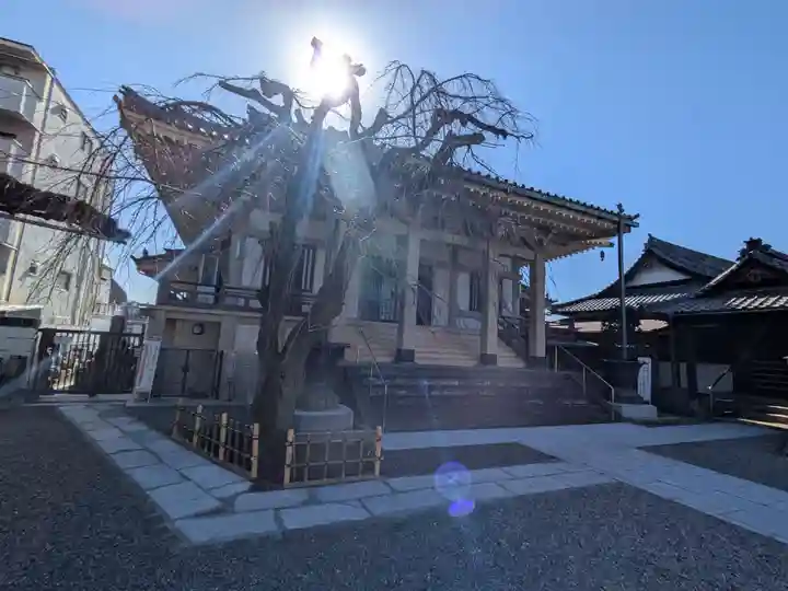 西應寺(東京都)
