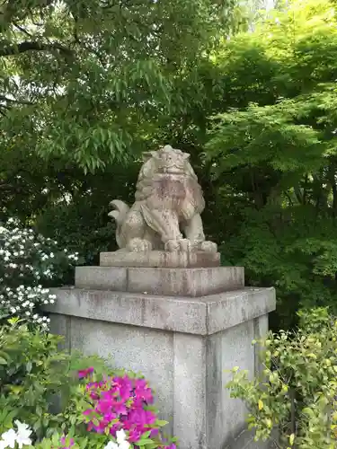 晴明神社の狛犬