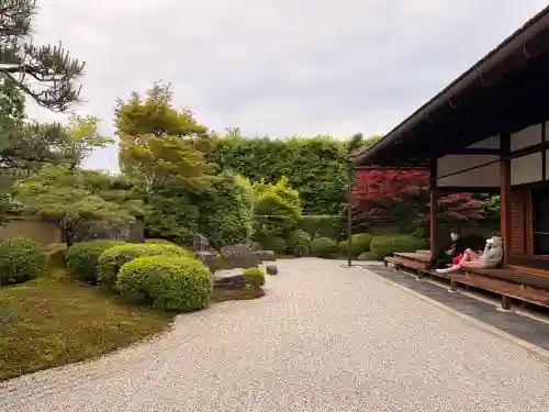 興臨院の{uncategorized: "未分類", other: "その他", undefined: "問題あり", building: "その他建物", grave: "お墓", sacred_gate: "鳥居", guardian: "狛犬", statue: "像", buddha: "仏像", history: "歴史", nature: "自然", garden: "庭園", animal: "動物", pagoda: "塔", temizu: "手水舎", mountain_gate: "山門・神門", sanctuary: "本殿・本堂", subordinate: "末社・摂社", art: "芸術", scenery: "景色", jizo: "地蔵", ema: "絵馬", goshuin: "御朱印", omikuji: "おみくじ", items: "授与品その他", amulet: "お守り", goshuincho: "御朱印帳", eats: "食事", festival: "お祭り", votive_dance: "神楽", shichigosan: "七五三参", wedding: "結婚式", experience: "体験その他", initially: "初詣", around: "周辺", anti_infection: "感染症対策"}