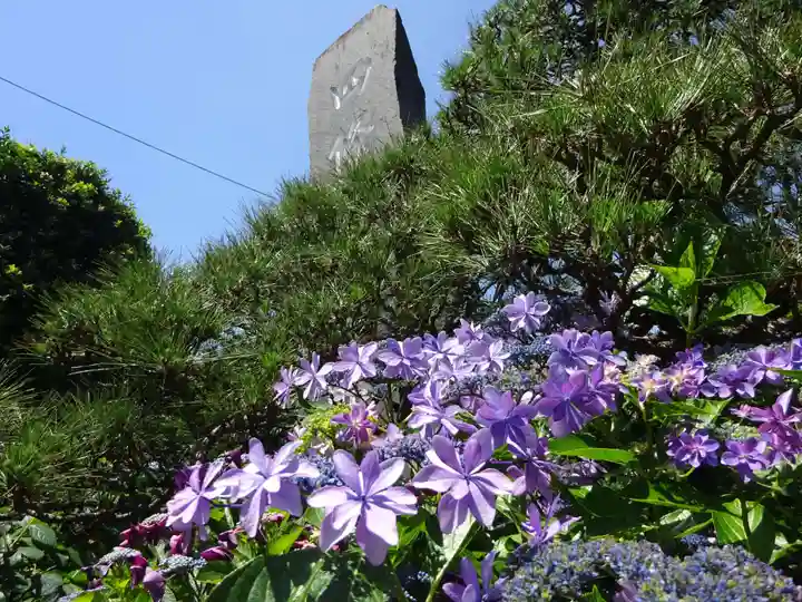 収玄寺のその他建物