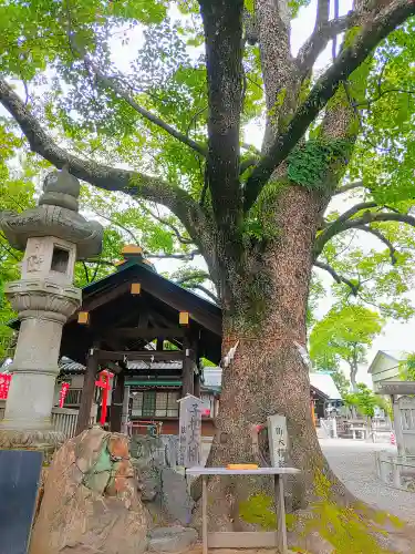 古知野神社の自然