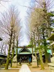 金村別雷神社(茨城県)