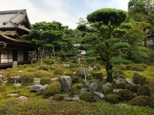 金剛寺の庭園