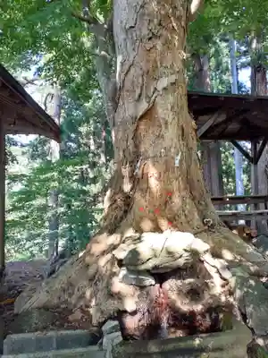 愛宕神社(秋田県)