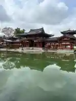 平等院の{uncategorized: "未分類", other: "その他", undefined: "問題あり", building: "その他建物", grave: "お墓", sacred_gate: "鳥居", guardian: "狛犬", statue: "像", buddha: "仏像", history: "歴史", nature: "自然", garden: "庭園", animal: "動物", pagoda: "塔", temizu: "手水舎", mountain_gate: "山門・神門", sanctuary: "本殿・本堂", subordinate: "末社・摂社", art: "芸術", scenery: "景色", jizo: "地蔵", ema: "絵馬", goshuin: "御朱印", omikuji: "おみくじ", items: "授与品その他", amulet: "お守り", goshuincho: "御朱印帳", eats: "食事", festival: "お祭り", votive_dance: "神楽", shichigosan: "七五三参", wedding: "結婚式", experience: "体験その他", initially: "初詣", around: "周辺", anti_infection: "感染症対策"}