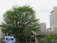 太田姫稲荷神社跡(一口神社)(東京都)