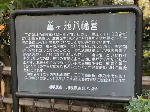 亀ケ池八幡宮の歴史