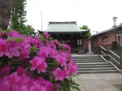 小村井 香取神社(東京都)