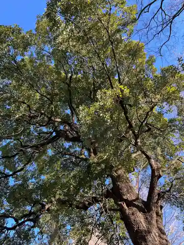 駒込天祖神社(東京都)