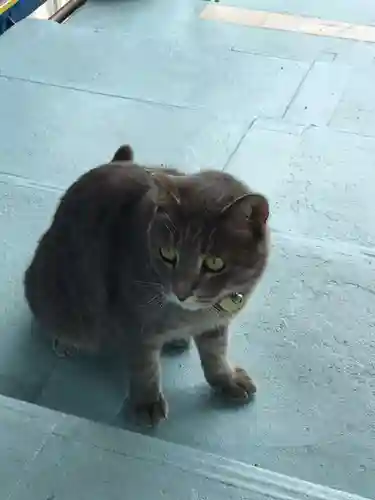 千光寺(広島県)