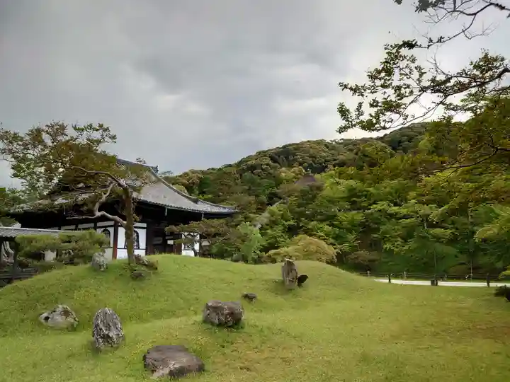 高台寺(高台寿聖禅寺・高臺寺)(京都府)