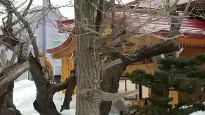帰厚院(北海道)