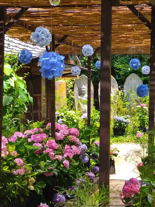 般若寺 ❁コスモス寺❁(奈良県)