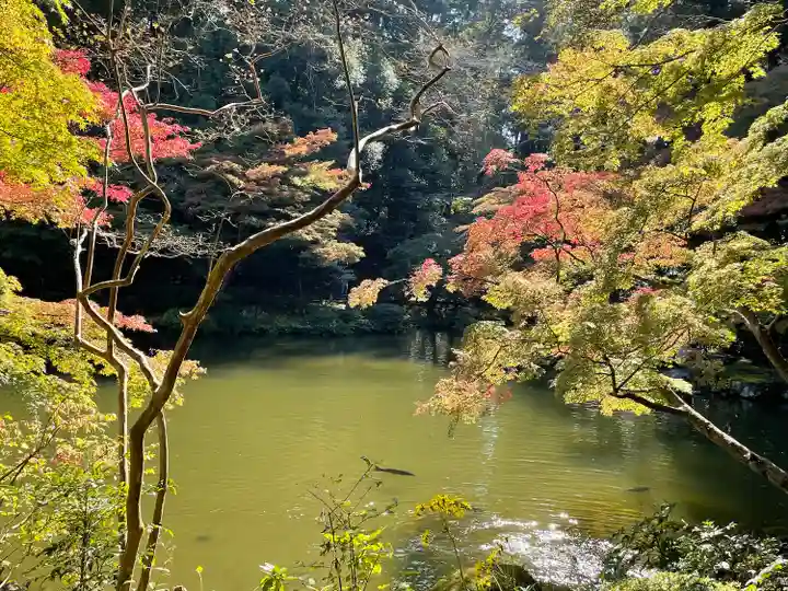 成田山新勝寺(千葉県)