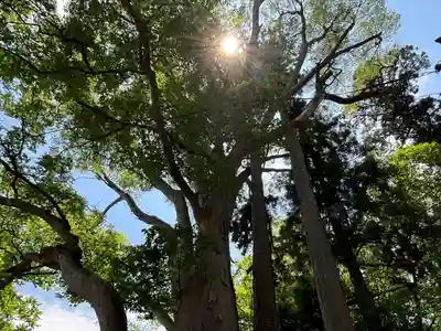 荒脛巾神社(福島県)